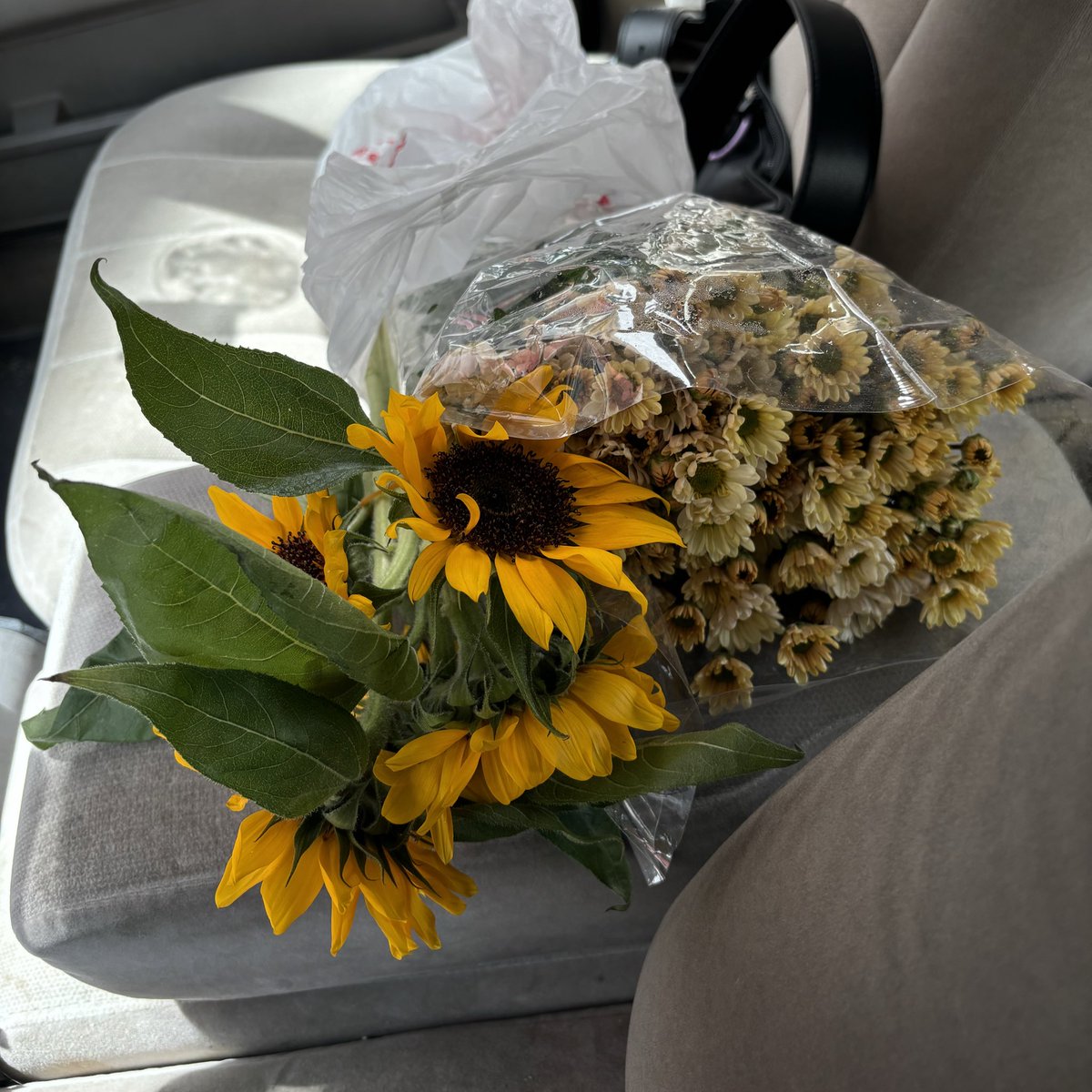 ⋆˚࿔ alhanouf ᡣ𐭩˚⋆ tweet media