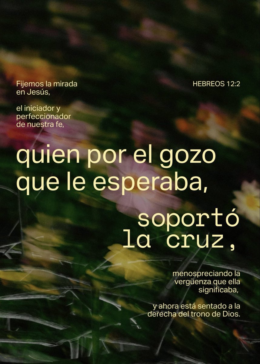 Gerardo Soto tweet media