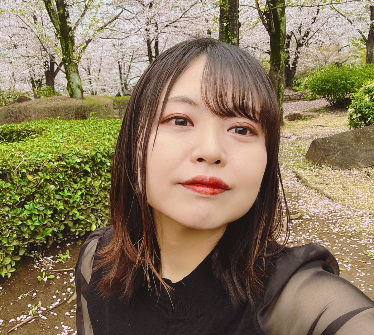菅田菜々子 tweet media