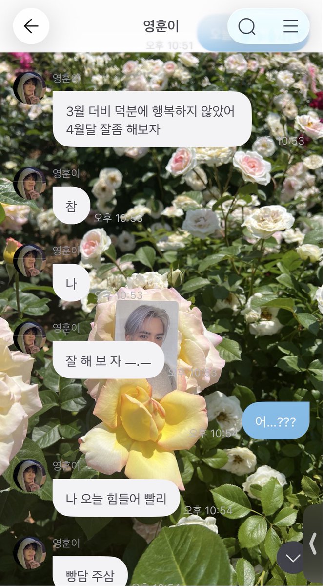 진빵 (막콘감) tweet media