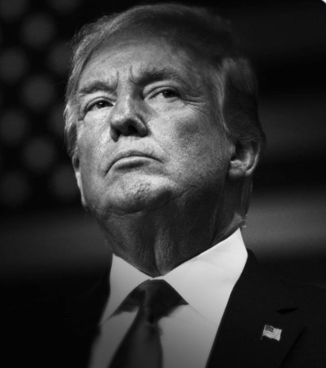 Savakzadeh tweet media