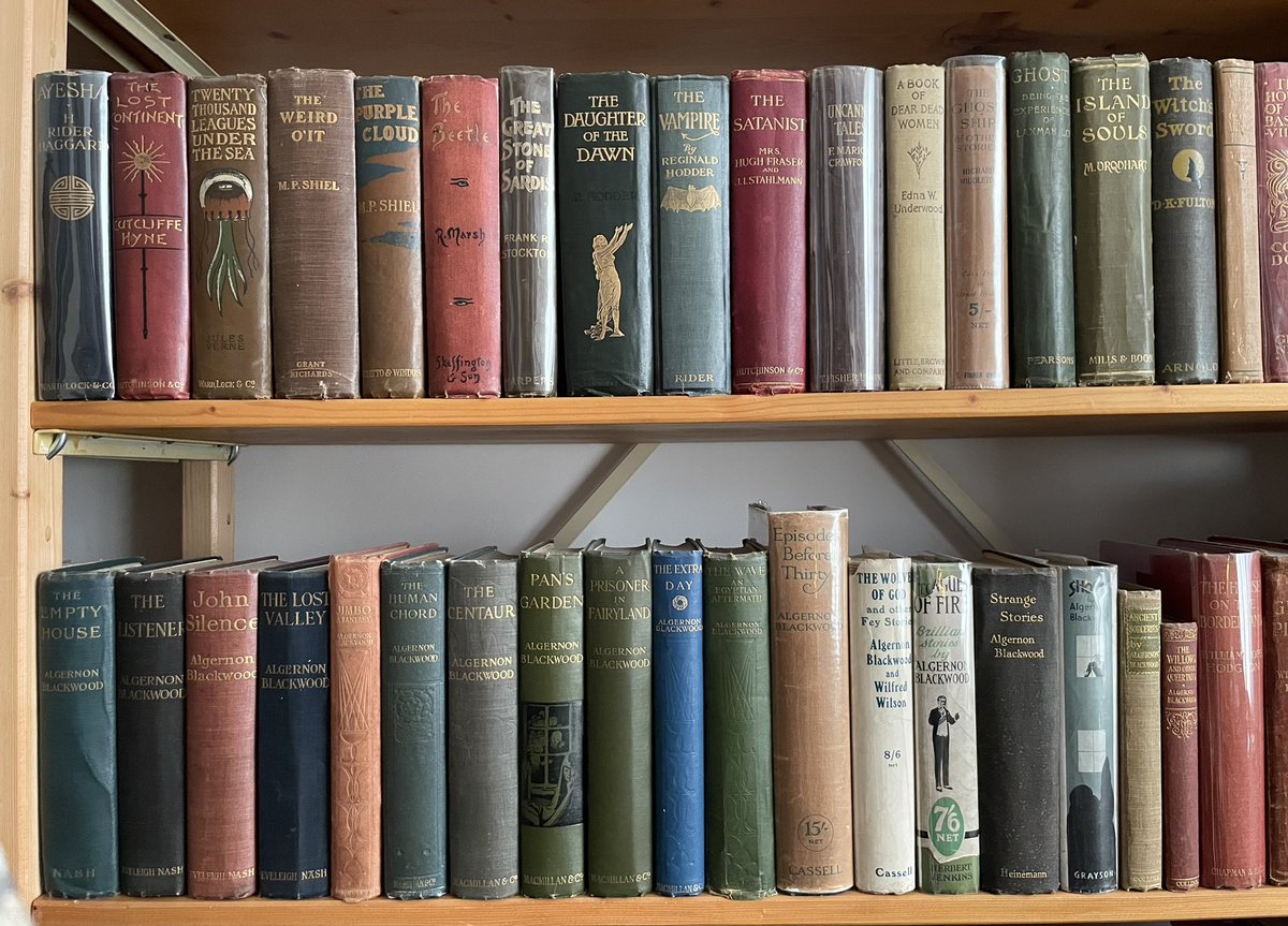 Theo Paijmans tweet media