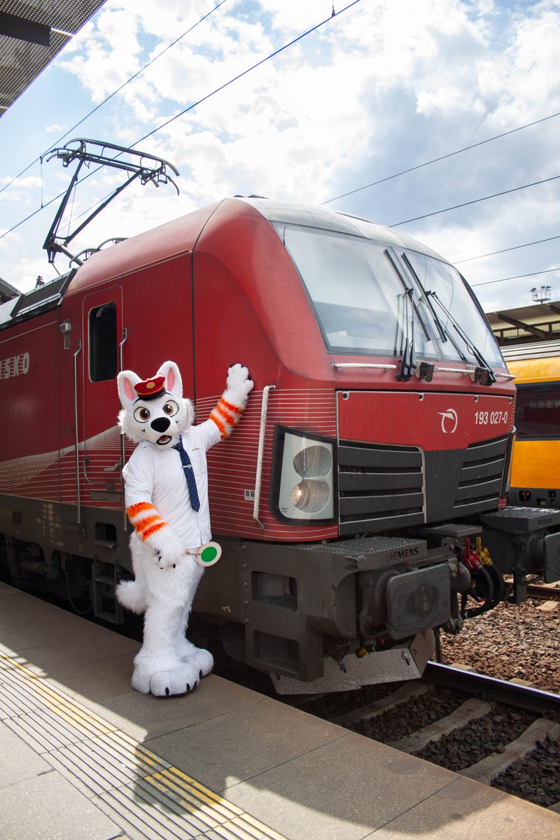 Bolt Railway Dog 🚂 tweet media