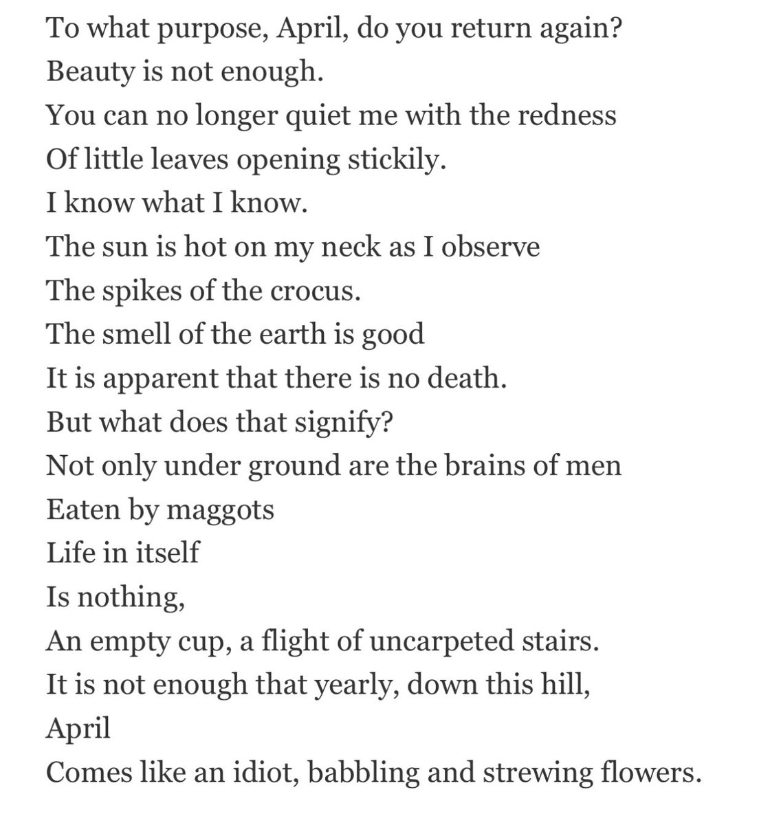 Heather Nanni tweet media