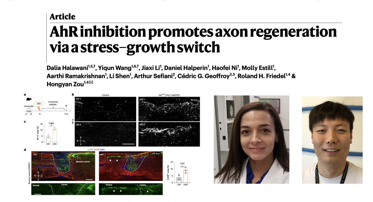 Friedel Lab tweet media