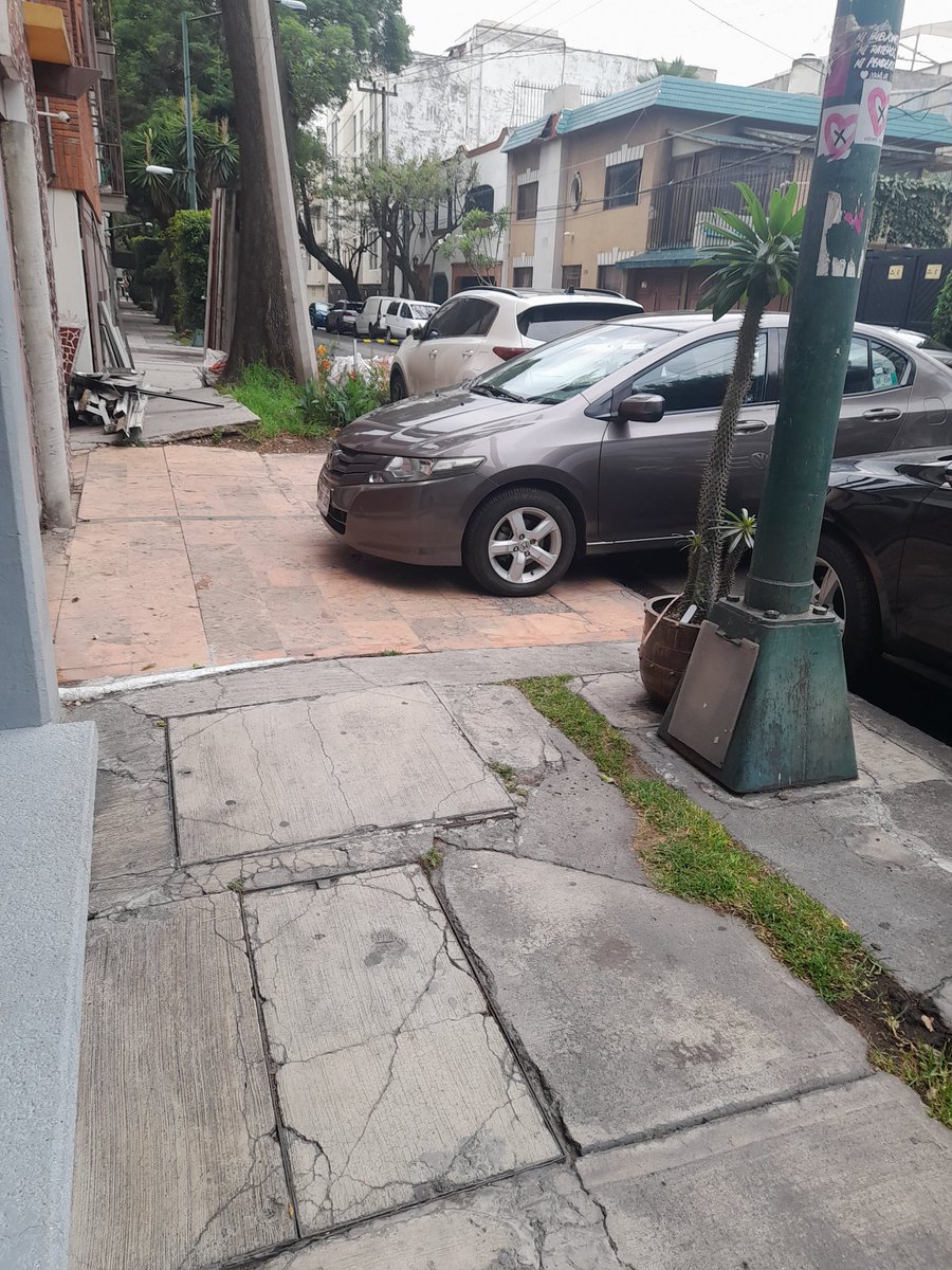 Coco Angeles tweet media