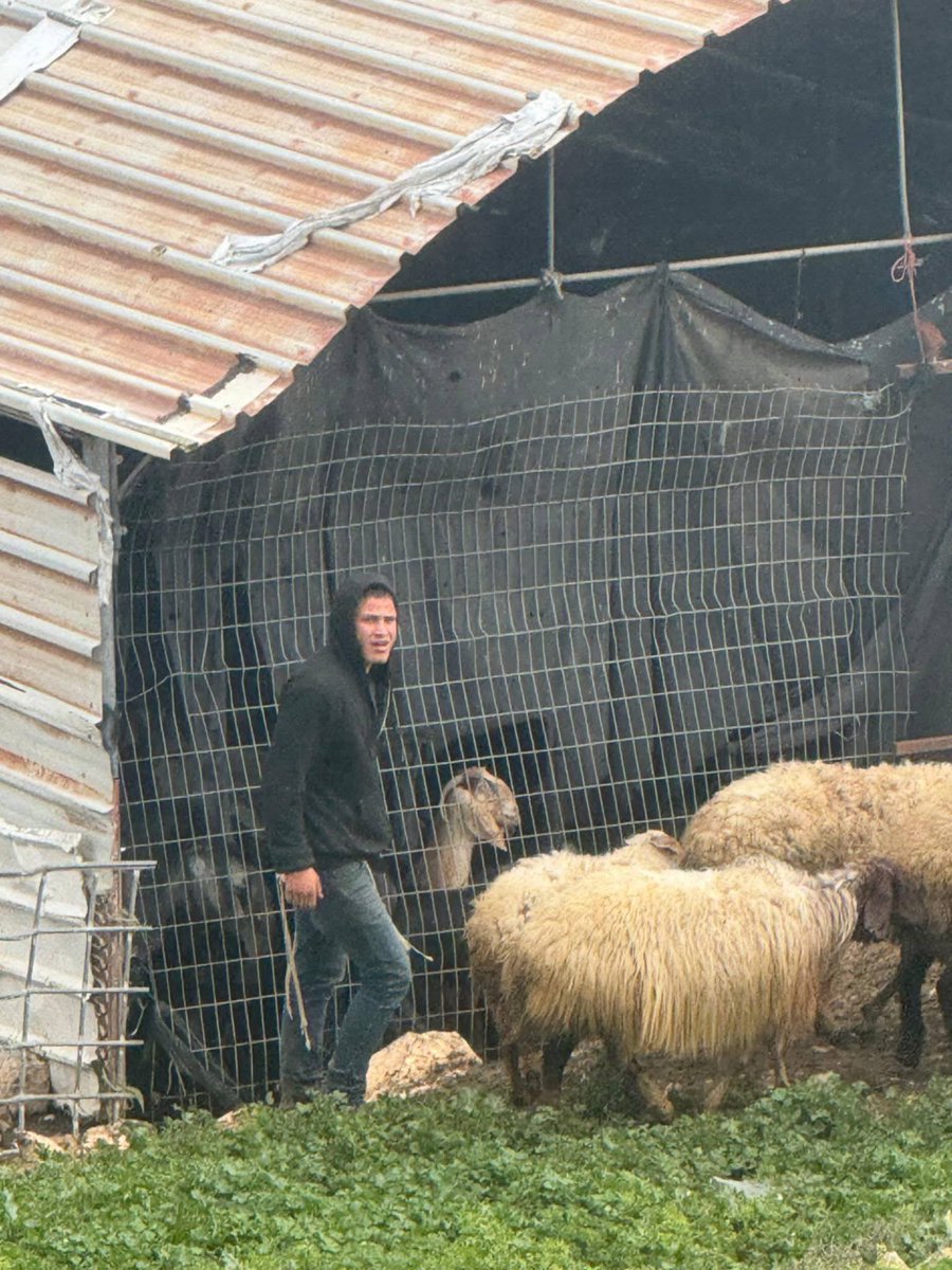 West Bank Notifications tweet media