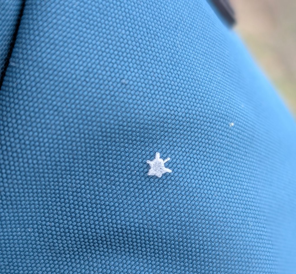 Het sneeuwde lichtjes vandaag hier in de Apennijnen. Het waren hele mooie, kleine sneeuwvlokjes: