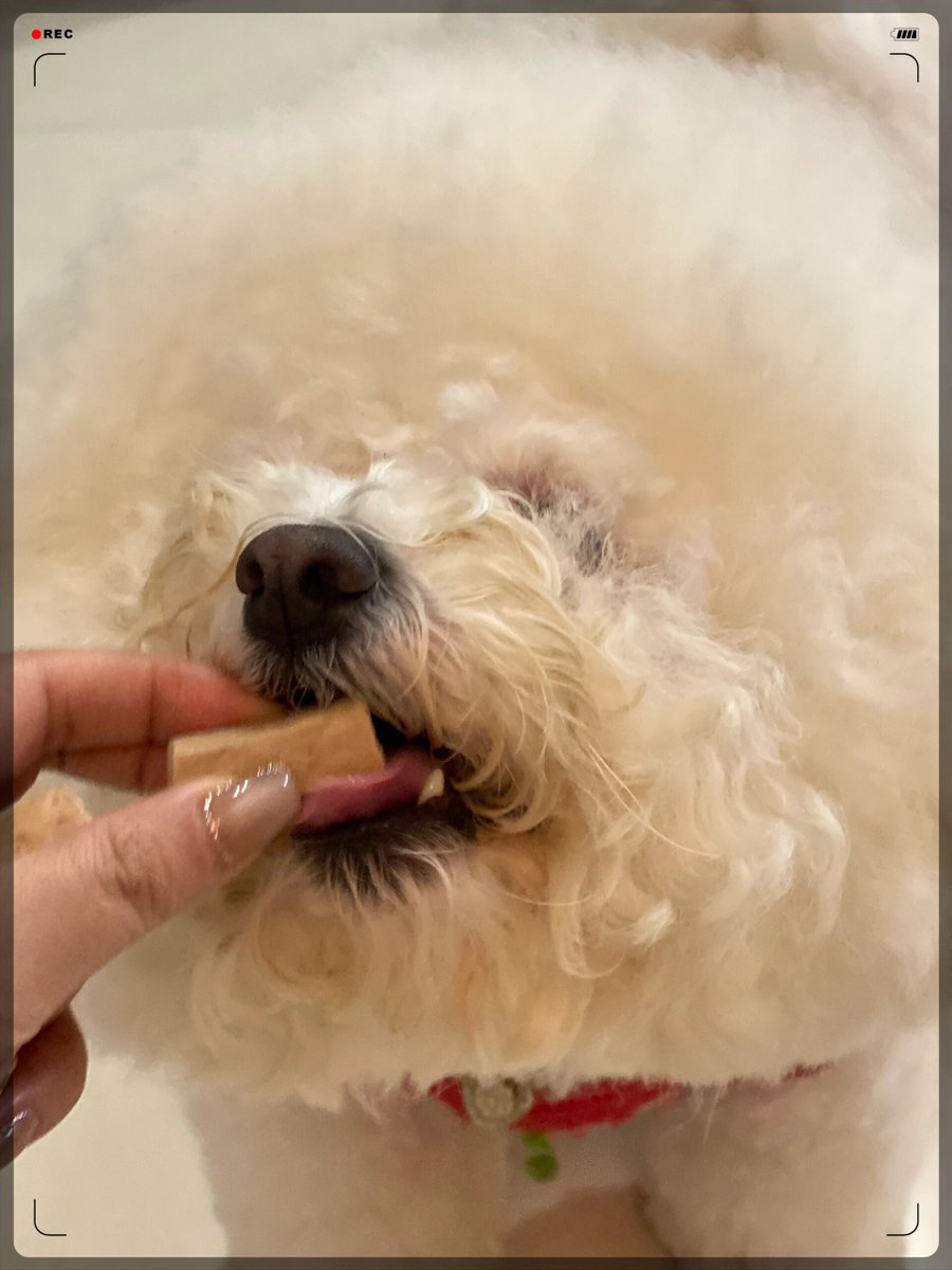 HavingaPerryMoment tweet media