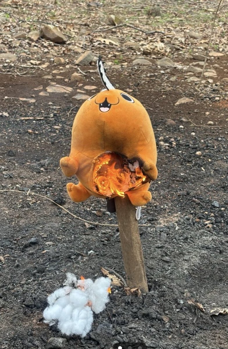 KLAY (• W •) tweet media