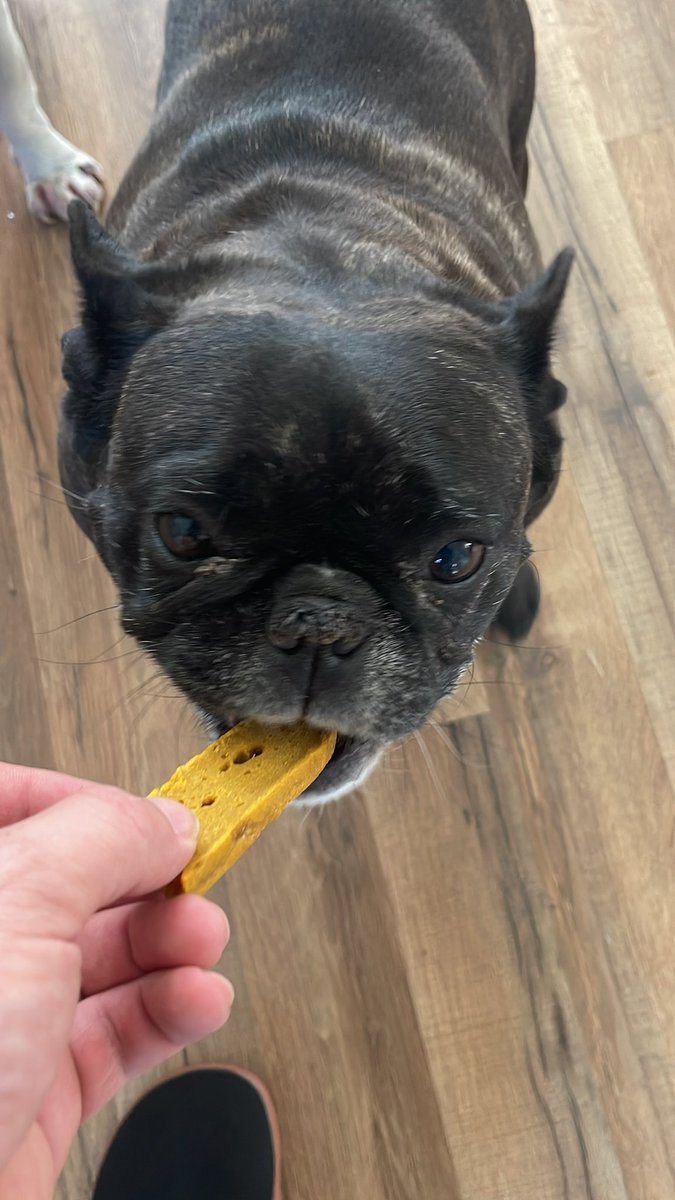 Big Dad Energy | BDEX tweet media