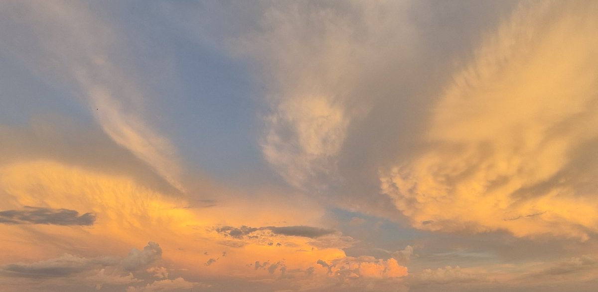 𝙼𝚊𝚛𝚒𝚊 ✝🇻🇦 tweet media