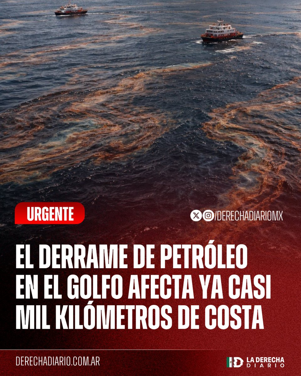 La Derecha Diario México tweet media