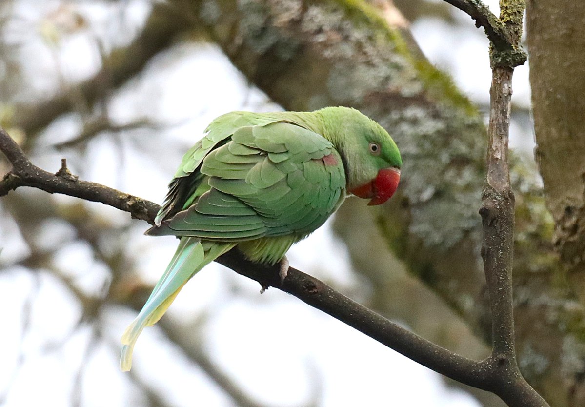 Dave 💙💛 tweet media