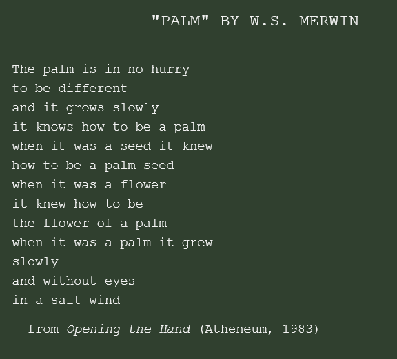 NTBG's tweet photo. Sharing a palm poem by writer W.S. Merwin, a great friend of NTBG and long-time resident and palm collector on #Maui. We remember William and his garden fondly. The poem was shared by The Merwin Conservancy. https://t.co/cLAYrffCoQ