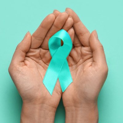 Palm Beach County Public Safety Victim Services tweet media