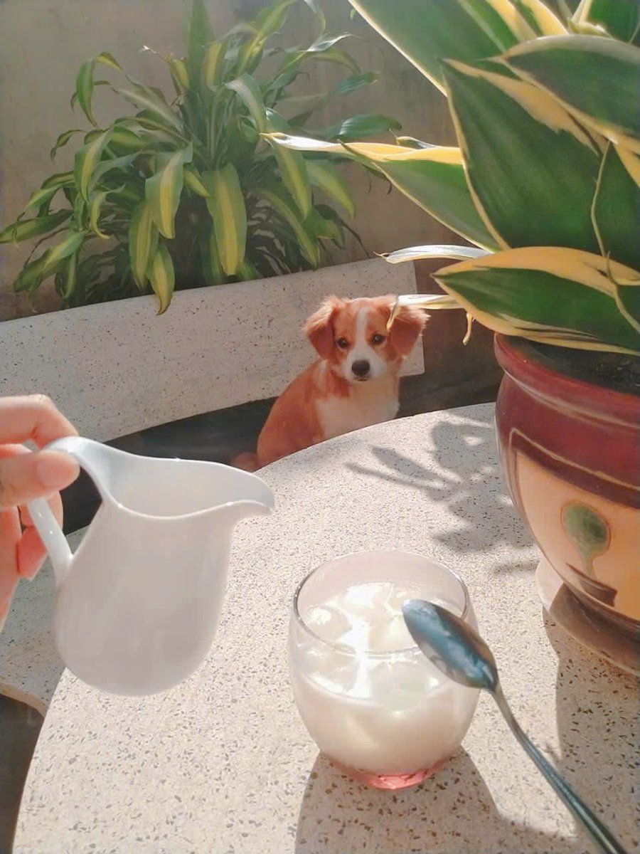 Our old pretty little baby~