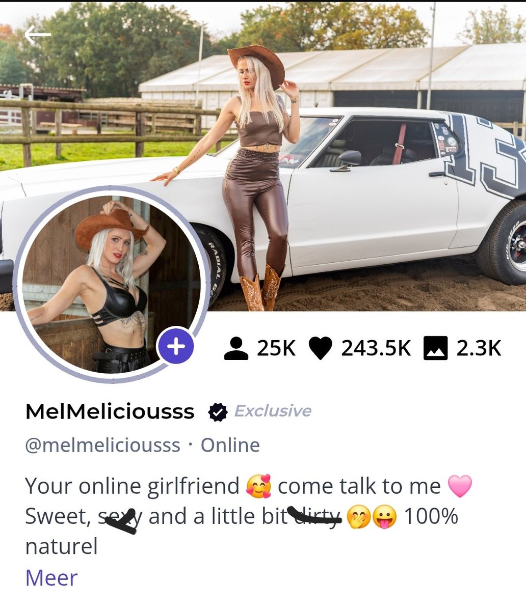 melmeliciousss tweet media
