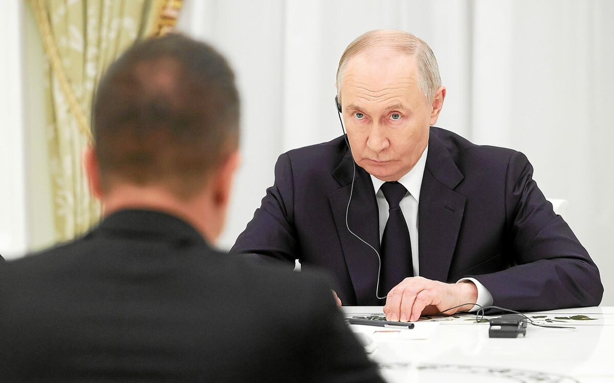 Le Télégramme tweet media