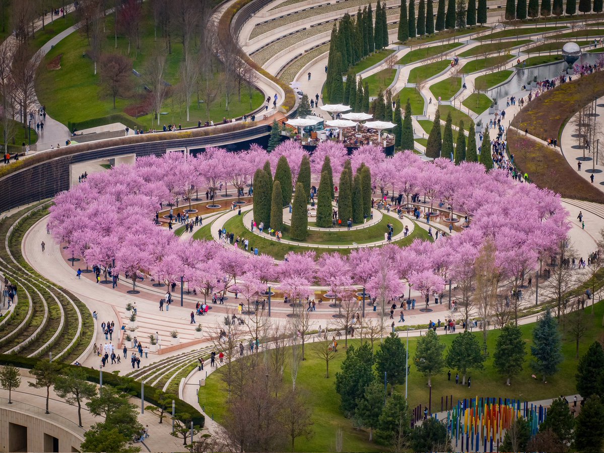 Евгений Таранжин tweet media