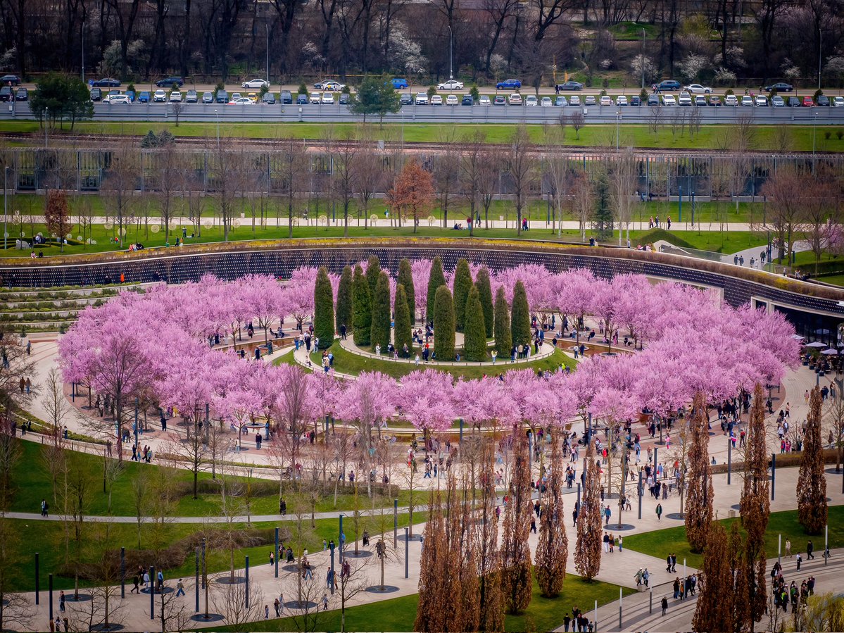 Евгений Таранжин tweet media