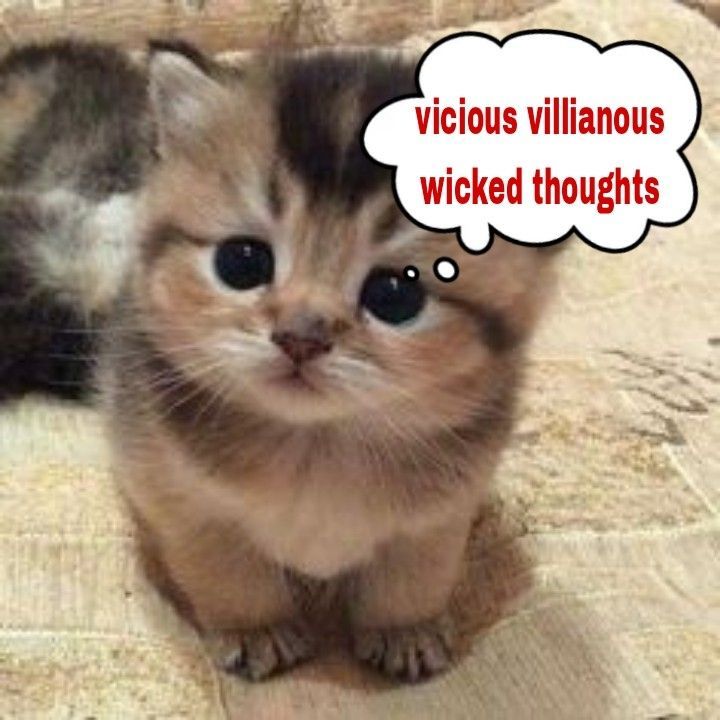 i drink soup tweet media