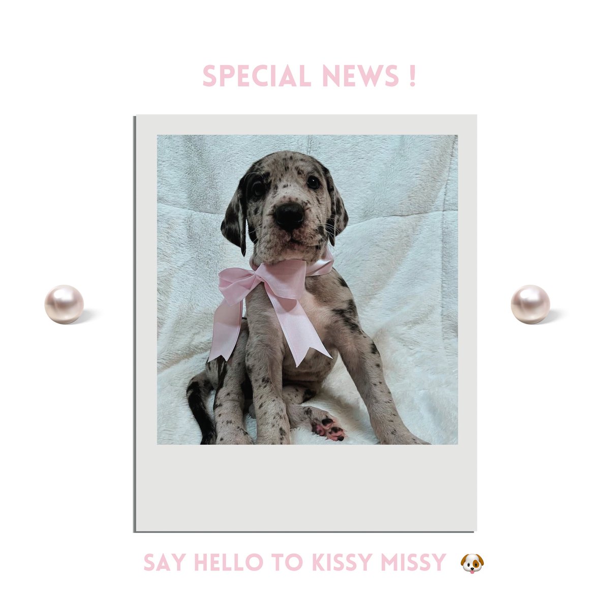 ℰ𝗌𝗆𝖾𝗋𝖺𝗅𝖽𝖺 , ♥︎. tweet media