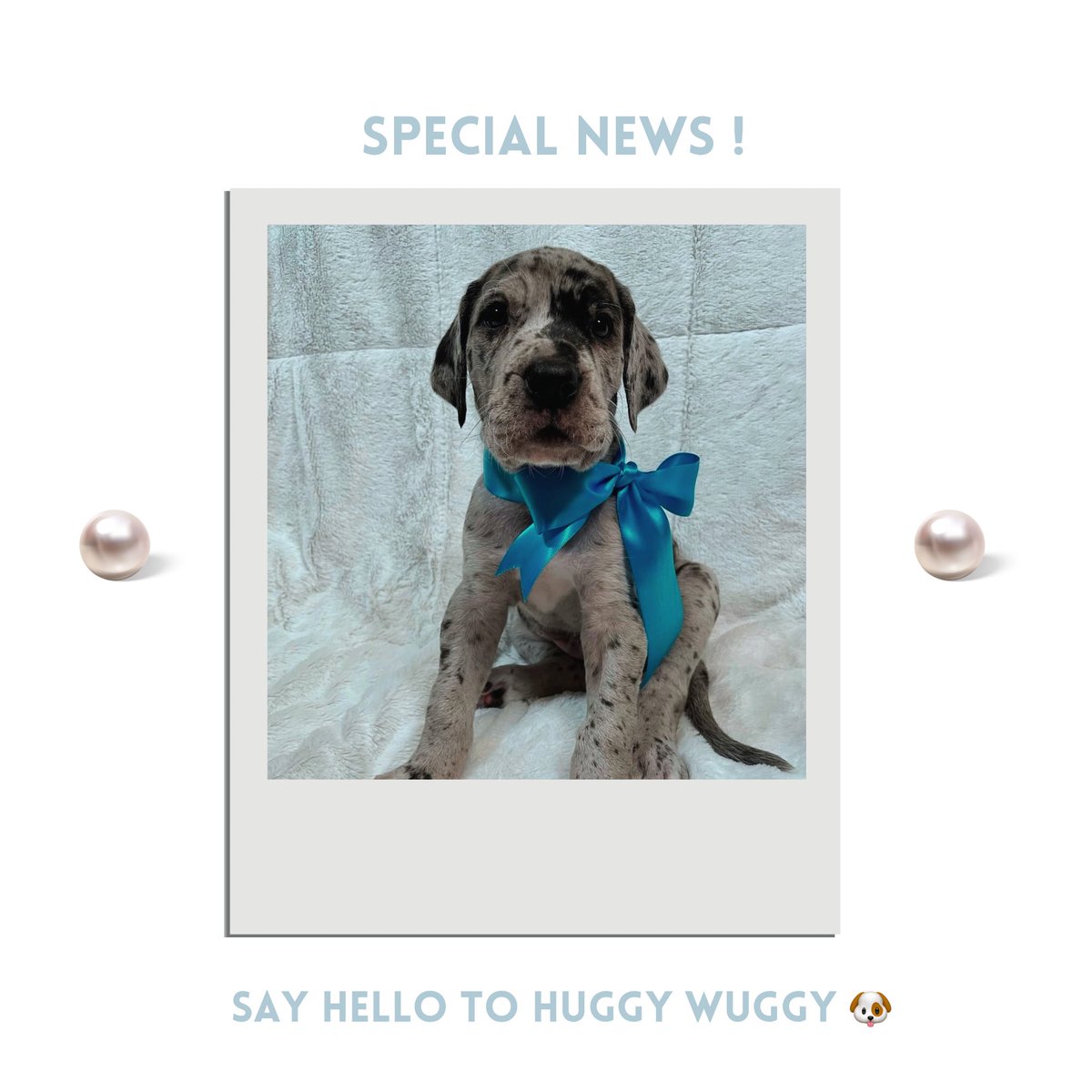 ℰ𝗌𝗆𝖾𝗋𝖺𝗅𝖽𝖺 , ♥︎. tweet media