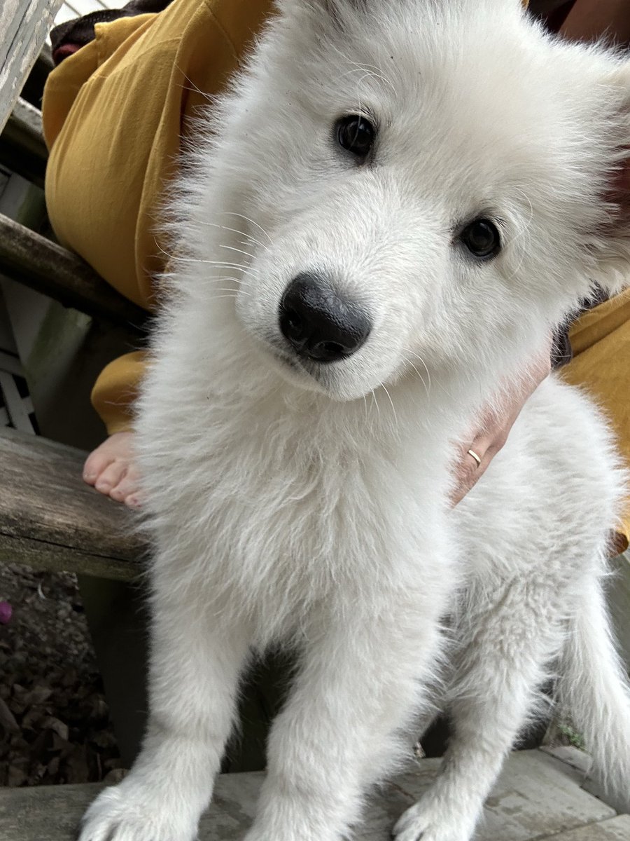 Eliza Jabore Preorder BACKSTABBERS now! tweet media