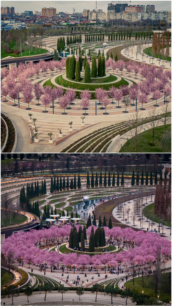 Евгений Таранжин tweet media