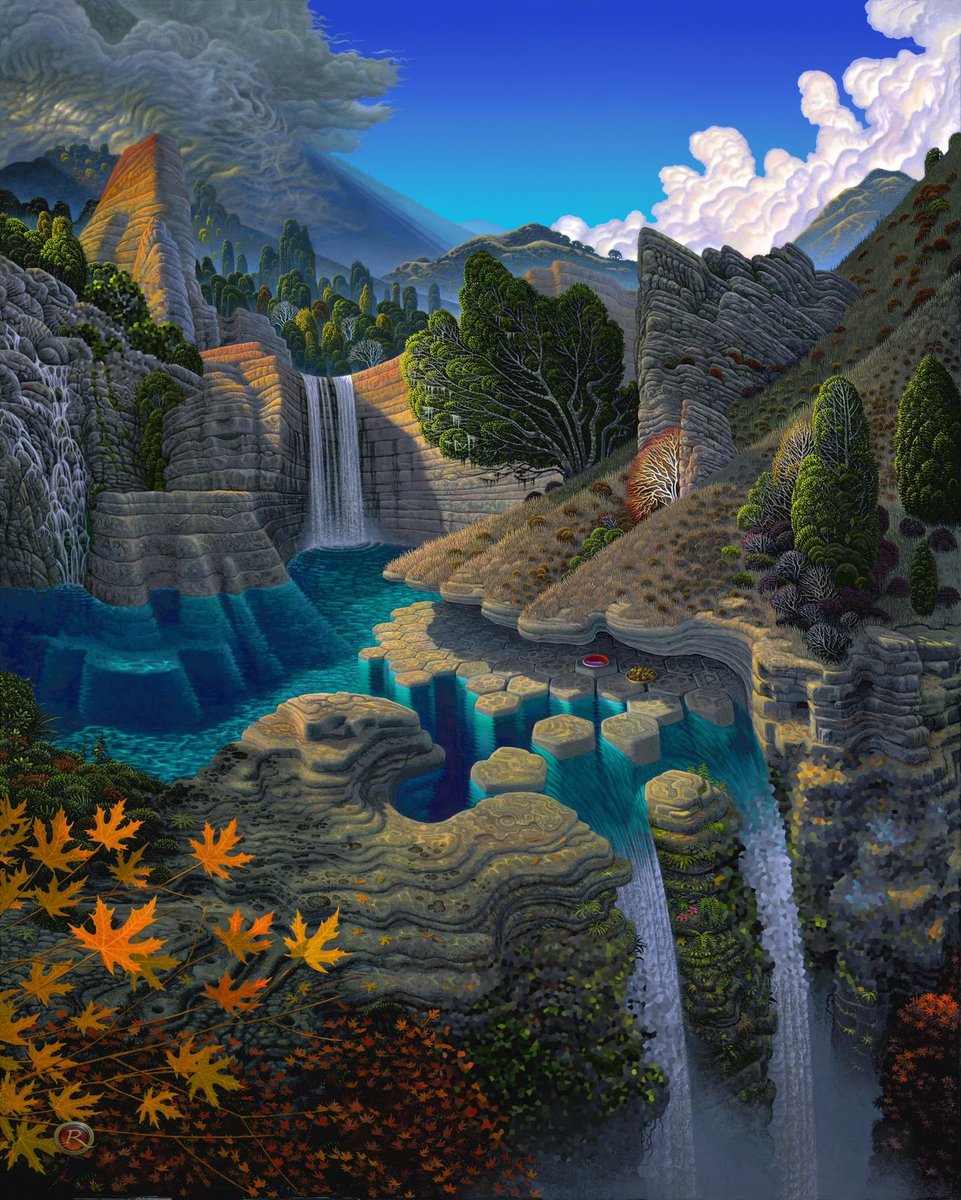 Frogmouth tweet media