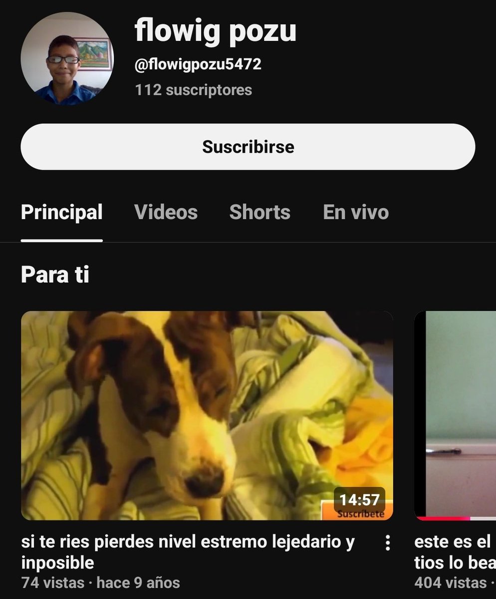 Koirandoshil tweet media