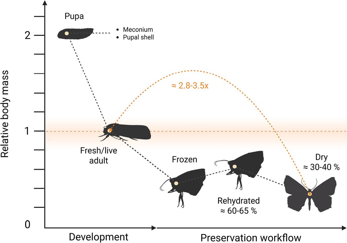 Yenny Correa-Carmona 🦋 tweet media