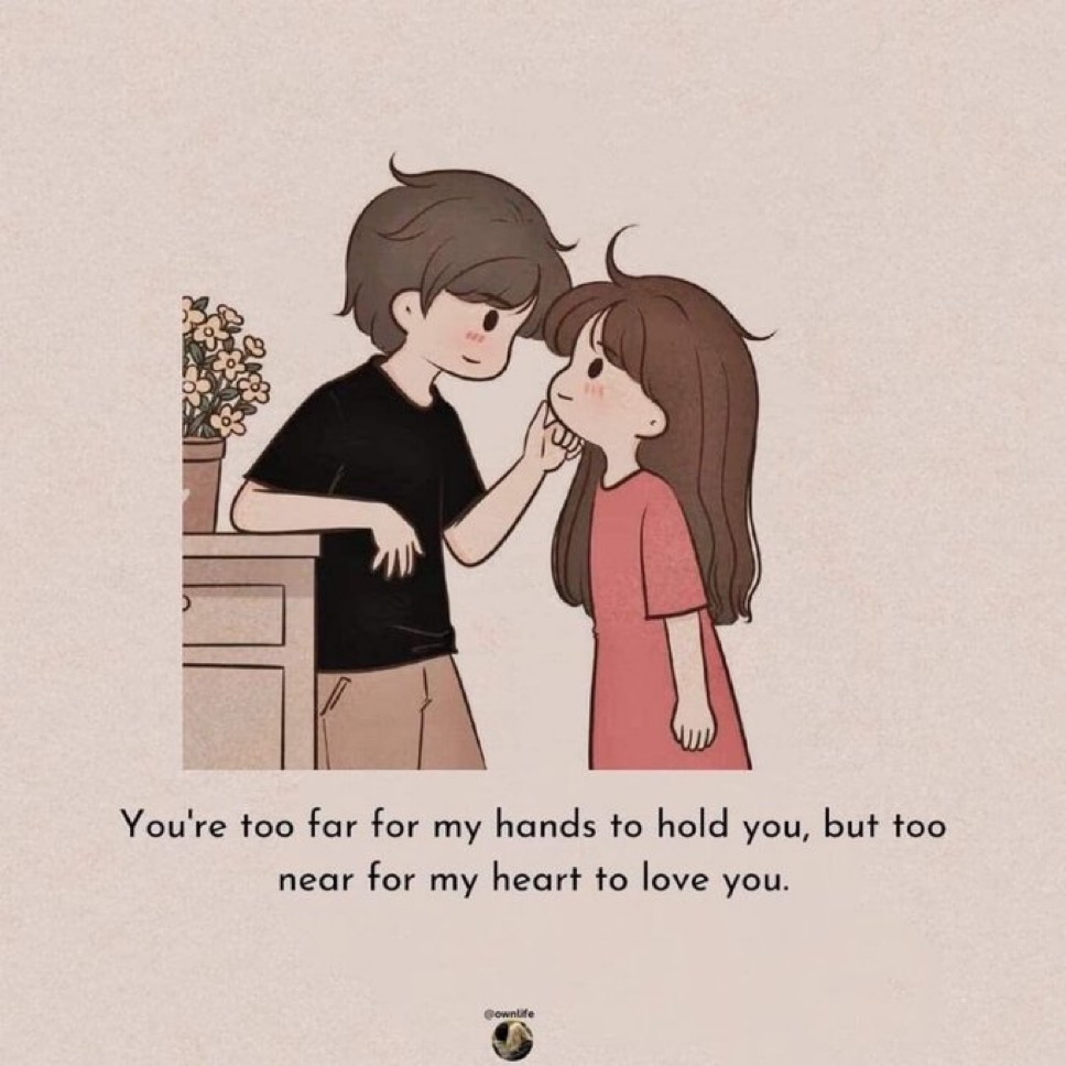 messages. tweet media