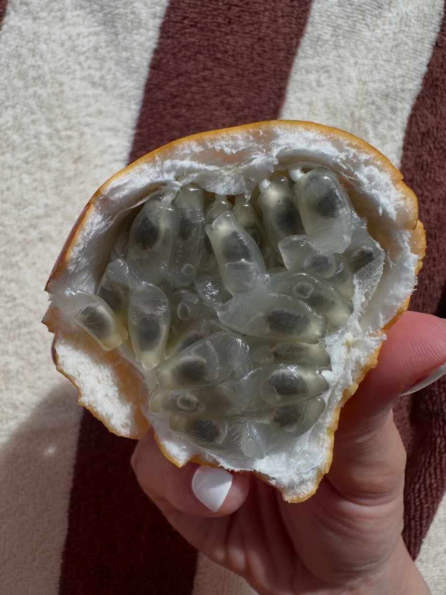 Girls' Generation IT🌸 tweet media