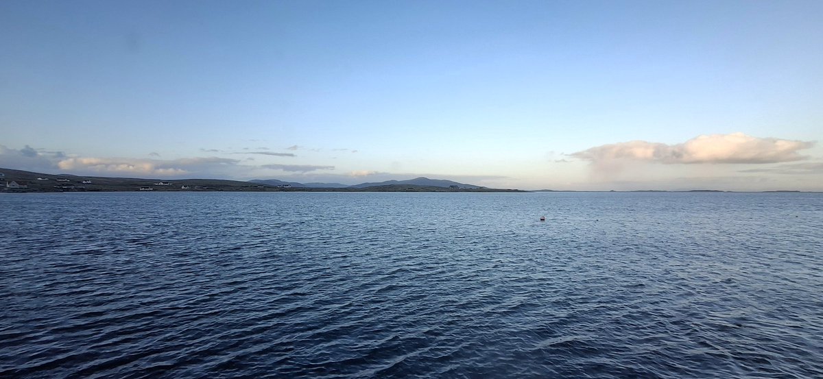 Eilidh tweet media