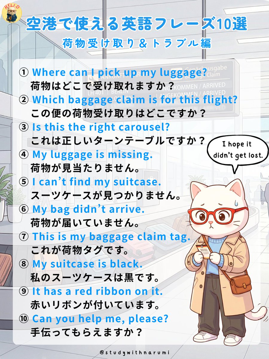 なるみ ⌇英会話の案内人 🐈 tweet media