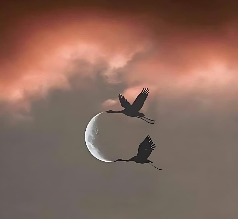 #nonProvare è, di per sé, fallire.

📸 Pinterest