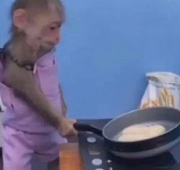 Macosians! tweet media