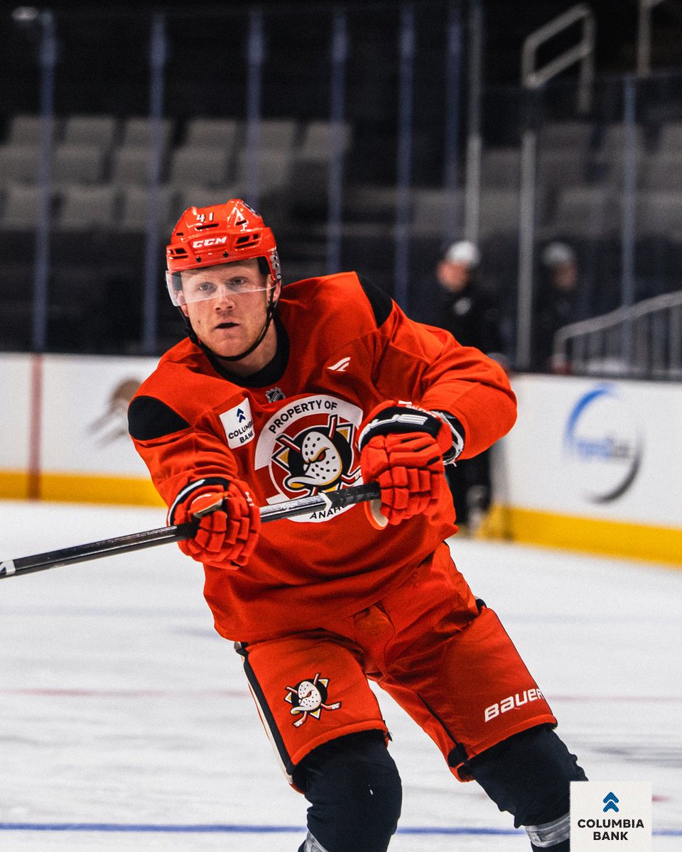 x - Anaheim Ducks tweet media