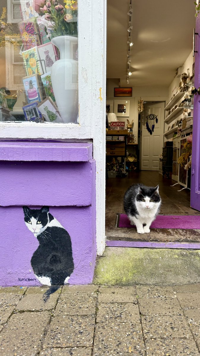 mitzyelliott's tweet image. We did a quick shop in a gorgeous store then went to #CliffsOfMoher 
Fantastic day. Now having Italian dinner in #Galway 🇮🇪😉