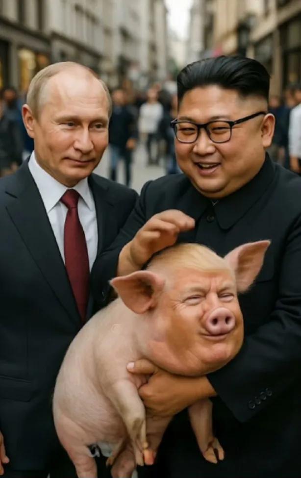 Manuel Allande tweet media