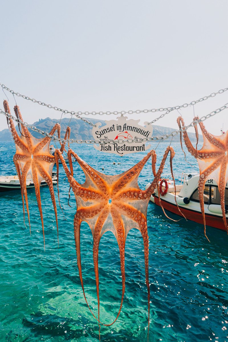 Simon Ribadeneira tweet media