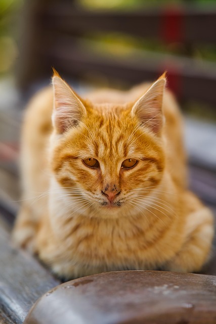 Sam Walters tweet media