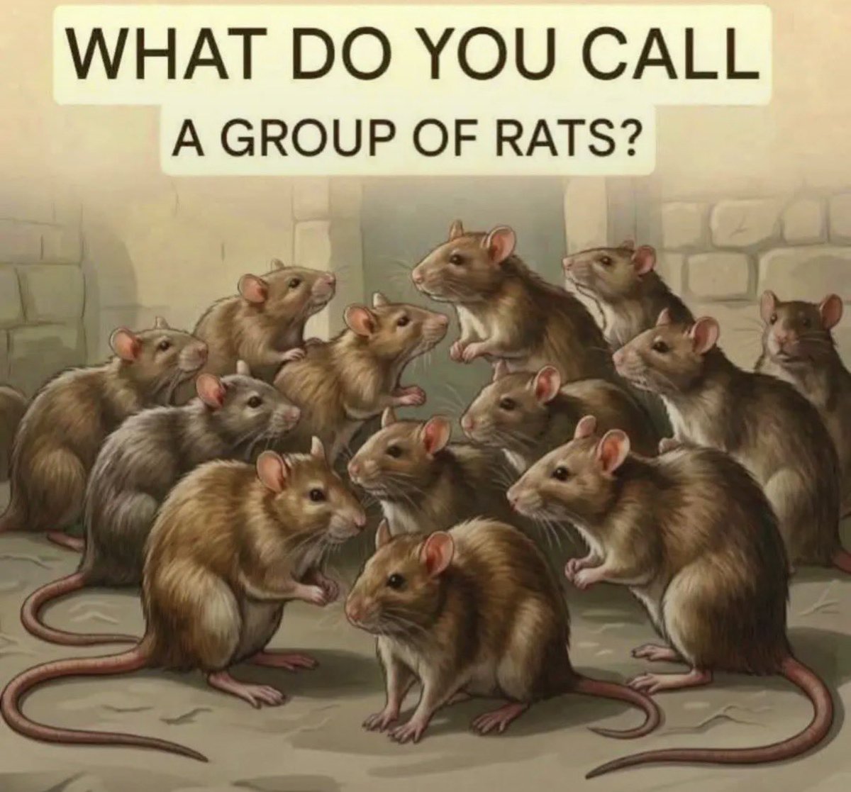 WeGotitBack 🏴󠁧󠁢󠁥󠁮󠁧󠁿🇬🇧🇺🇸 tweet media