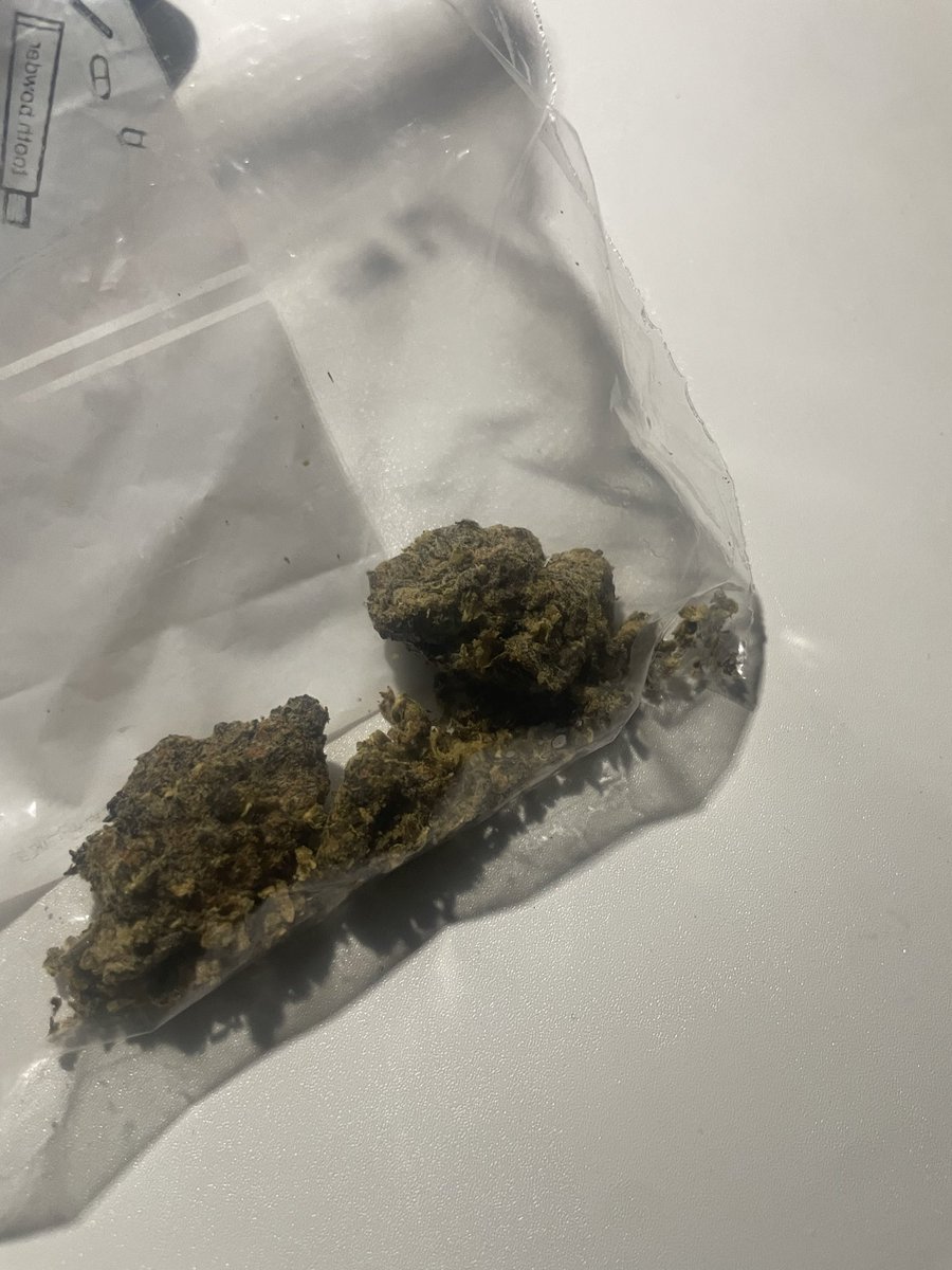 外星之吸血鼠儿 tweet media