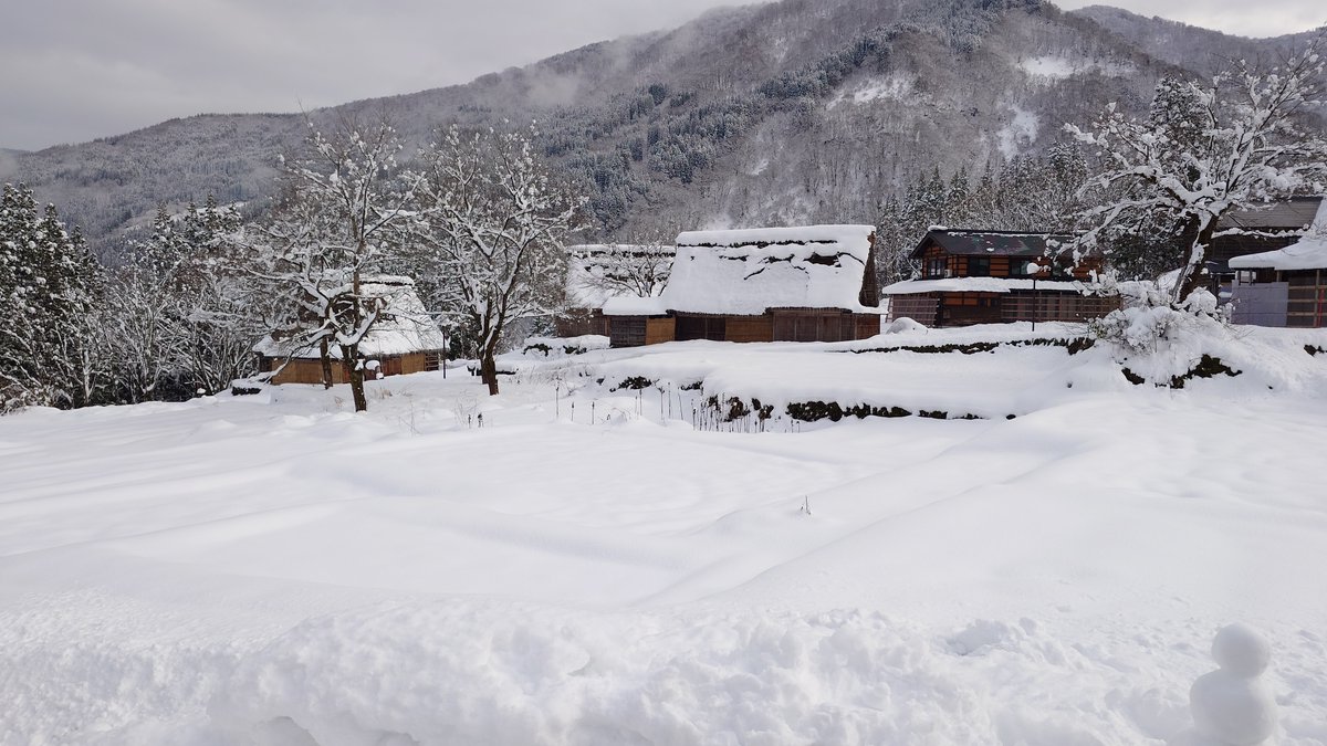 kazuki_tter's tweet image. 冬の思い出 (飛騨ドライブ) 1/2

#TAFT #タフト
#DAIHATSU #ダイハツ
#飛騨 #白川郷 #氷点下の森
#岐阜県 #ドライブ
#SUV #AWD
#スタッドレスタイヤ #アイスガード
#iceGUARD #ヨコハマタイヤ
#東海北陸自動車道