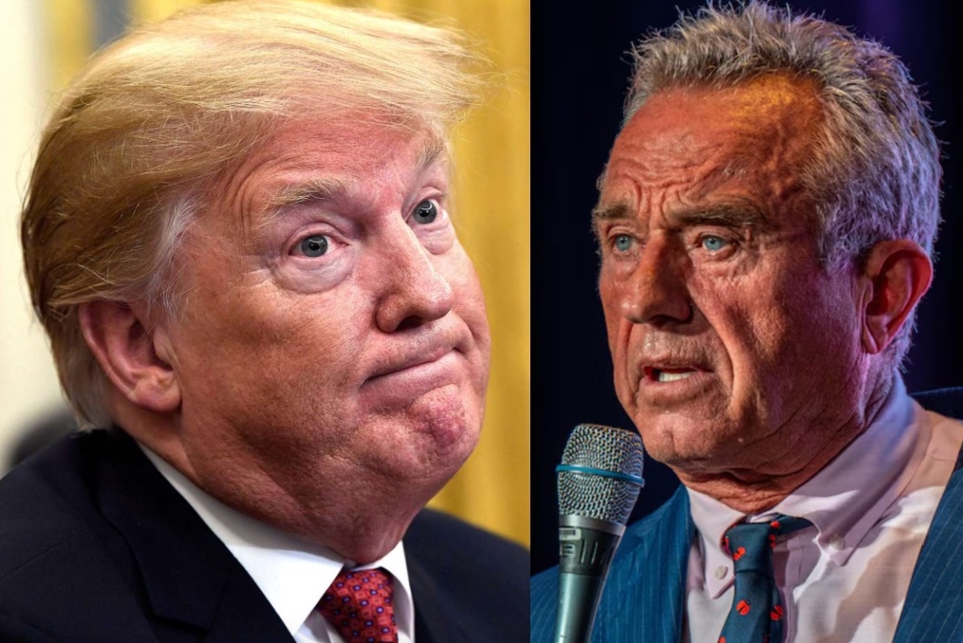 Occupy Democrats tweet media