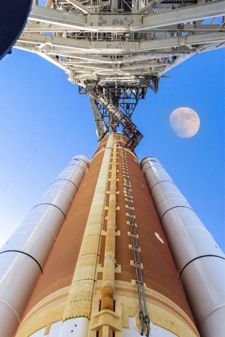 MinaSedef tweet media