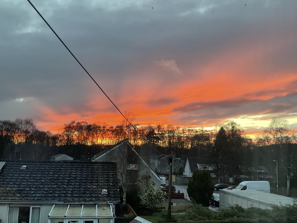 (Just plain) ⟭⟬ Sonia⁷ ⟬⟭ ⊙⊝⊜ tweet media